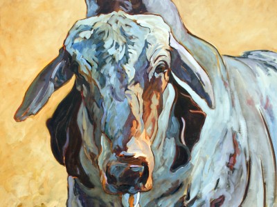 Brahman Bull, III