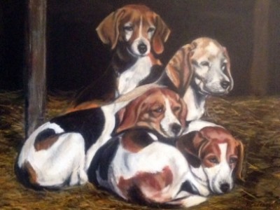 MOC Beagles