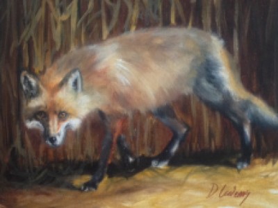 Cornfield Fox